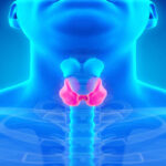 Hypothyroidism: Symptoms, Causes, Types & Best Diet for Thyroid Disorder (Image Credit: Wiki Common)
