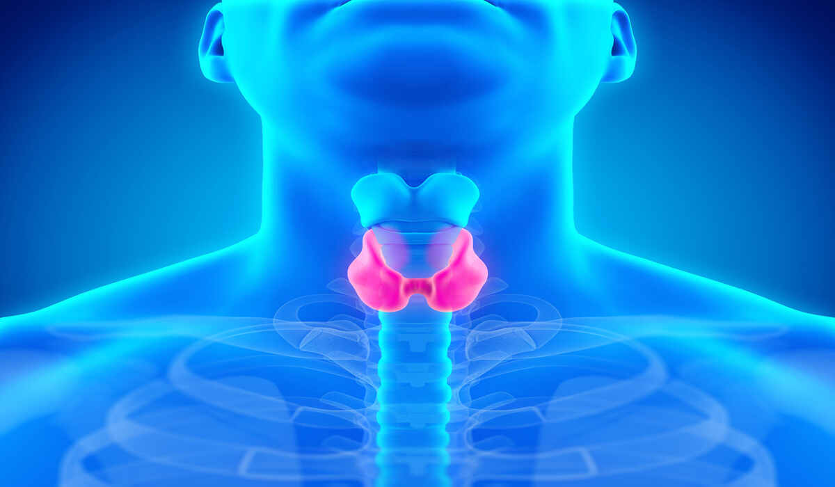 Hypothyroidism Symptoms, Types & Best Diet for Thyroid Disorder News
