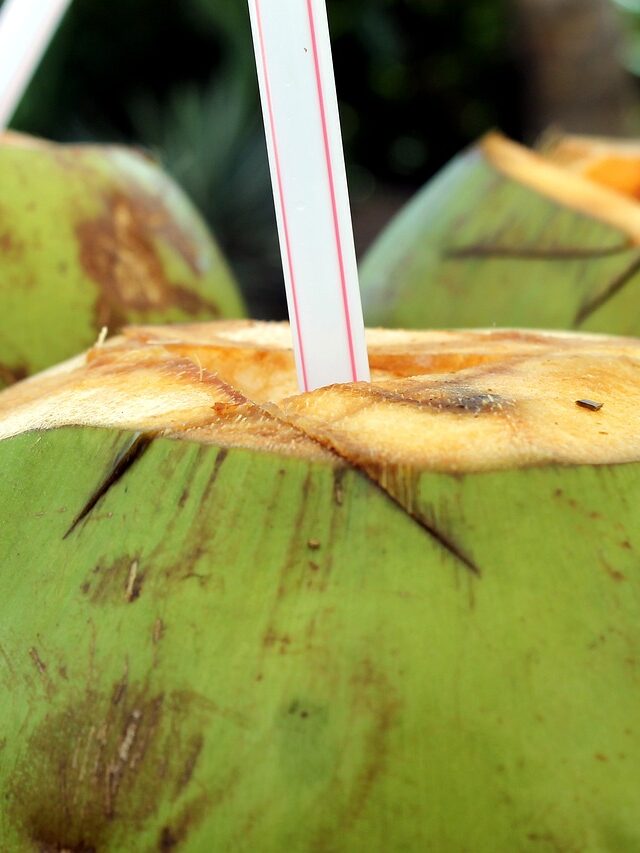 नारियल पानी पीने के 10 सबसे बड़े फायदे