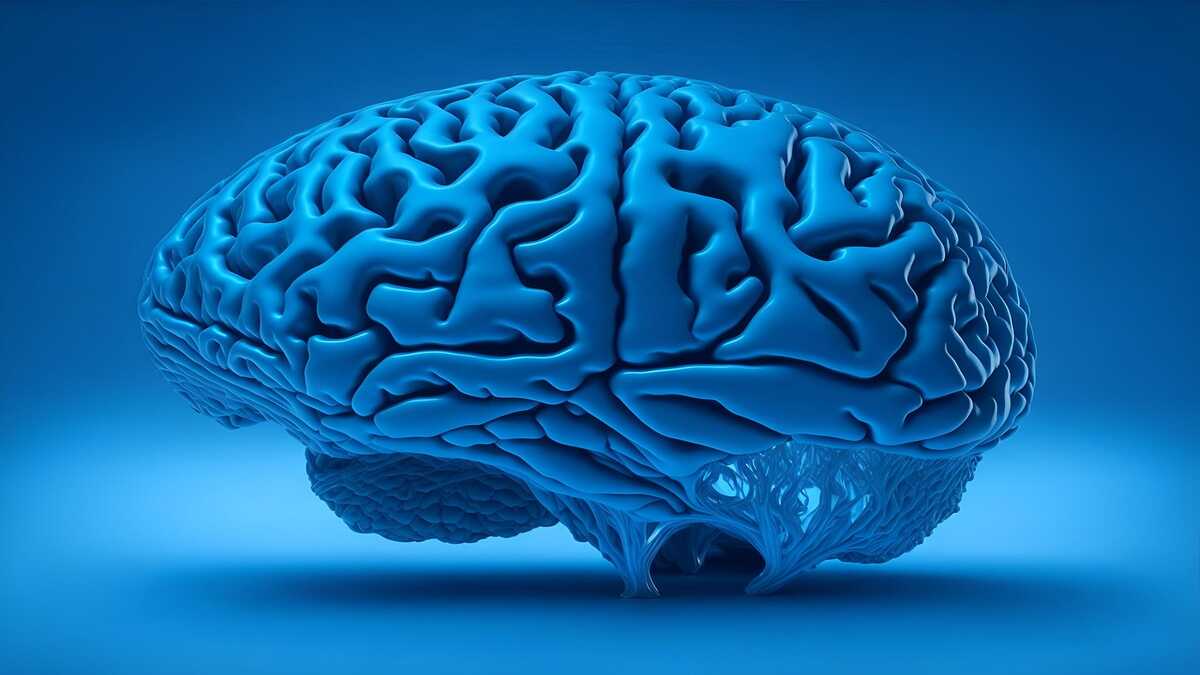 Health Tips 8 Best Foods to Boost Your Memory Power Naturally