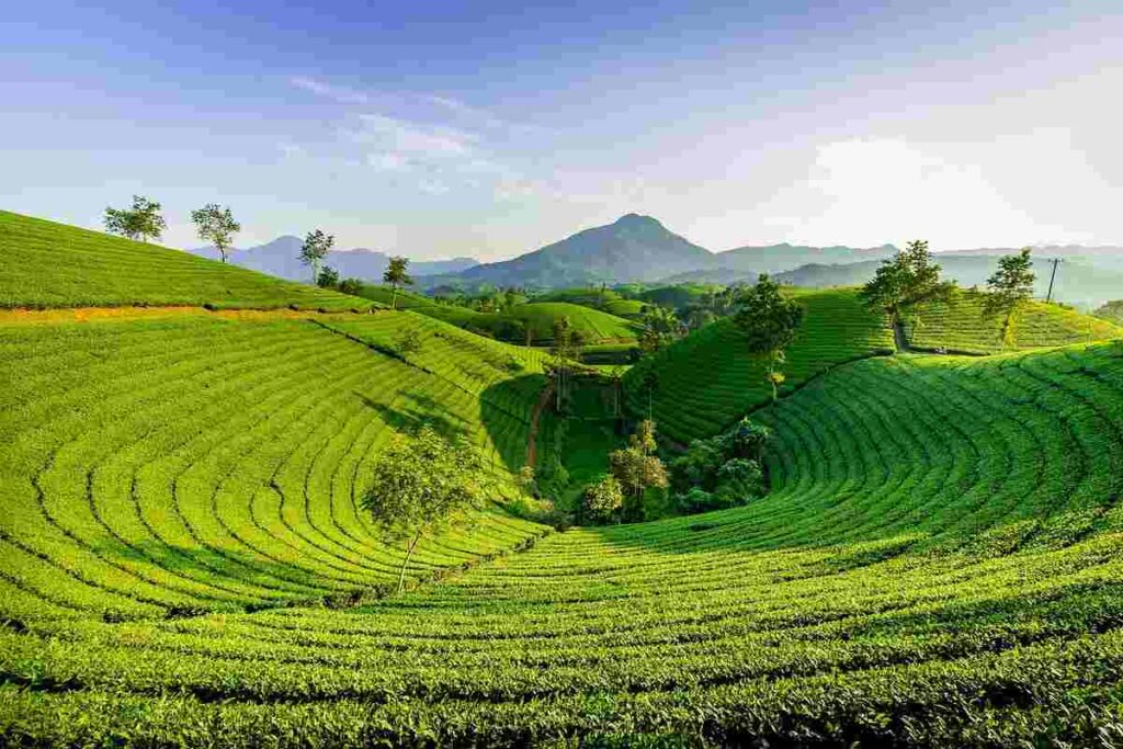 Best Places to Visit In India