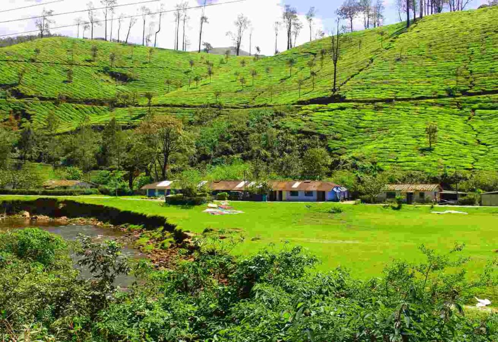8 Best Hill Destinations to Visit in India in April 8 Best Hill Destinations to Visit in India in April