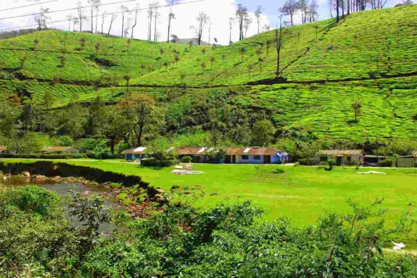 8 Best Hill Destinations to Visit in India in April 8 Best Hill Destinations to Visit in India in April