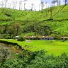 8 Best Hill Destinations to Visit in India in April